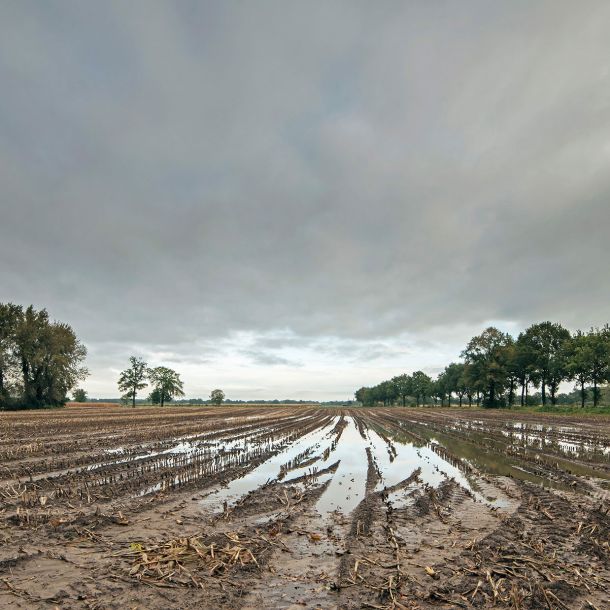 A muddy field with puddles and storm clouds overhead