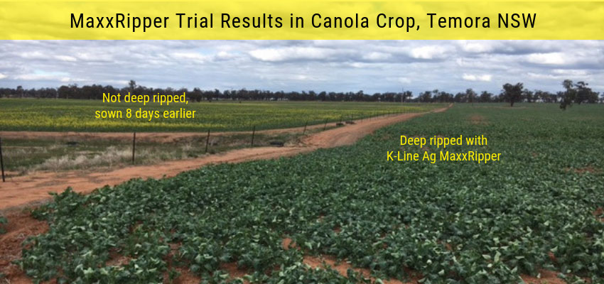 MaxxRipper trial results in Canola crop, Temora NSW