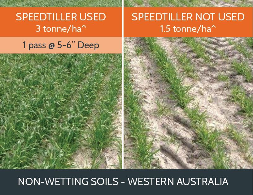 A crop after Speedtiller® usage, yielding 3 tonnes/ha. Comparatively, on the right, with no Speedtiller® pass, the yield was half. Results may vary depending on seasonal conditions.
